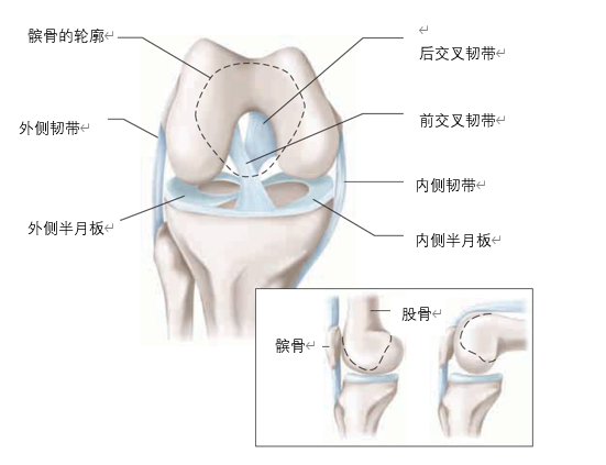电竞数据